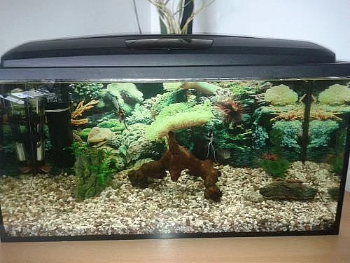 AKVÁRIUM 120 l