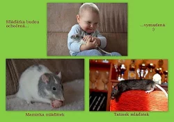 POTKAN - daruji mláďata