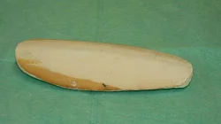 Senegalské proso a sépiové kosti.
