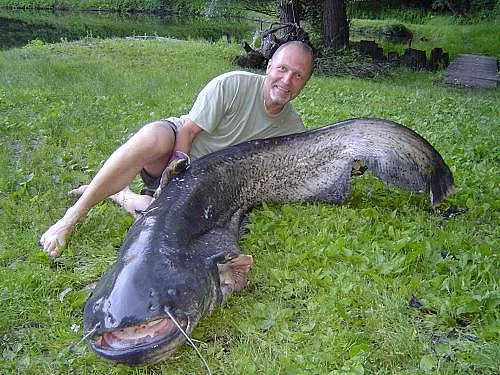 STÁLE NEVÍTE CO POD STROMEČEK