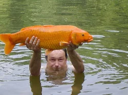 STÁLE NEVÍTE CO POD STROMEČEK