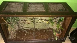 Prodám terárium