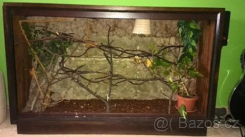 Prodám terárium