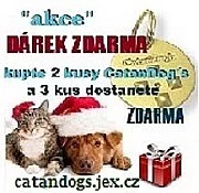 AKCE, která se nebude opakovat