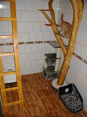 Hotel pro kočky Trubská