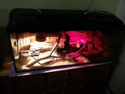 Prodam pekne terarium