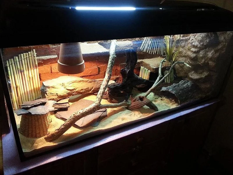 Prodam pekne terarium