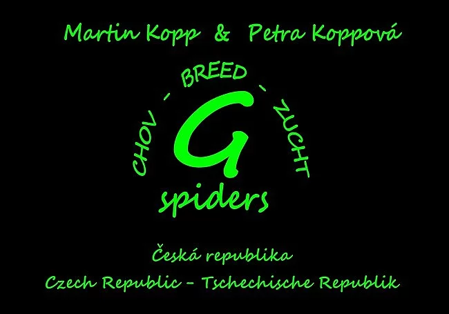 Chilobrachys andersoni 1. svlek - 100 Kč