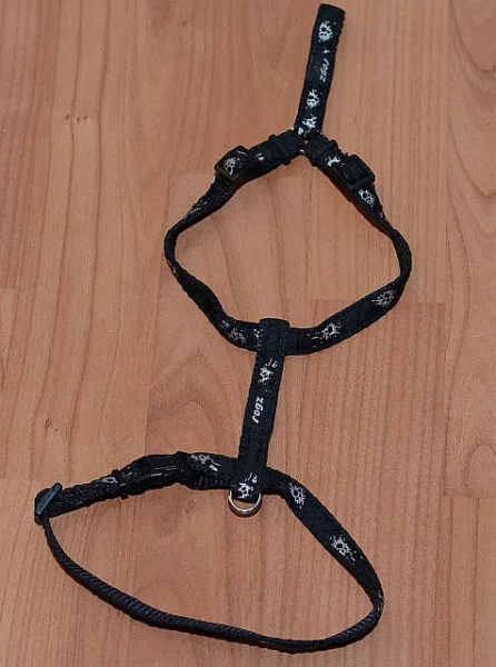 Postroj