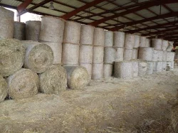 Seno, sláma kulaté balíky 300 kg Malé hranaté