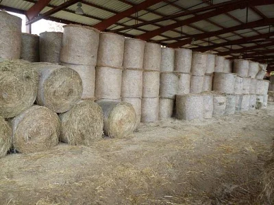 Seno, sláma kulaté balíky 300 kg Malé hranaté