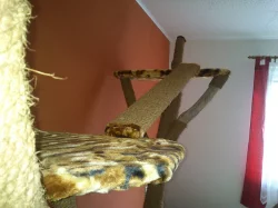 Originální škrabadlo pro kočky - ruční výroba