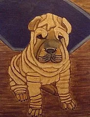 Shar Pei s PP