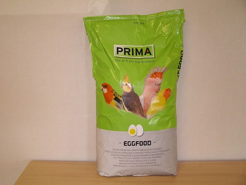 Senegalské proso