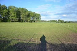 Ustájení