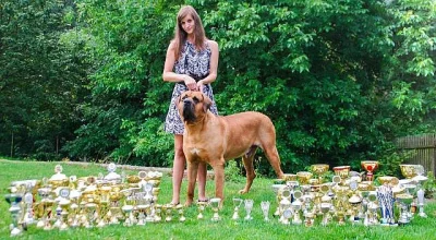 Nabídka krytí multišampionem a interšampionem Tosa