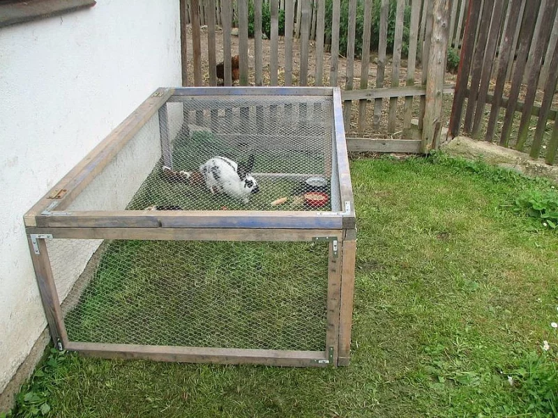 Prodej králíků na maso a chov