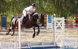 Klisna do sportu, 9 let