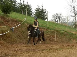 Pony klisna do sportu