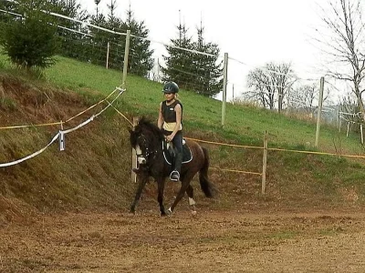 Pony klisna do sportu