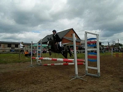 Pony klisna do sportu