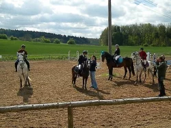 Pony klisna do sportu