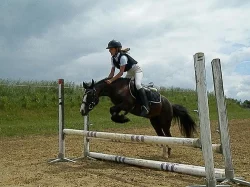 Pony klisna do sportu