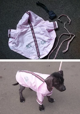 Bunda+vodítko+náhubek