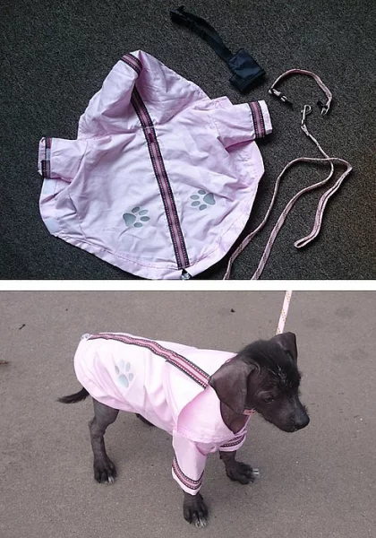 Bunda+vodítko+náhubek