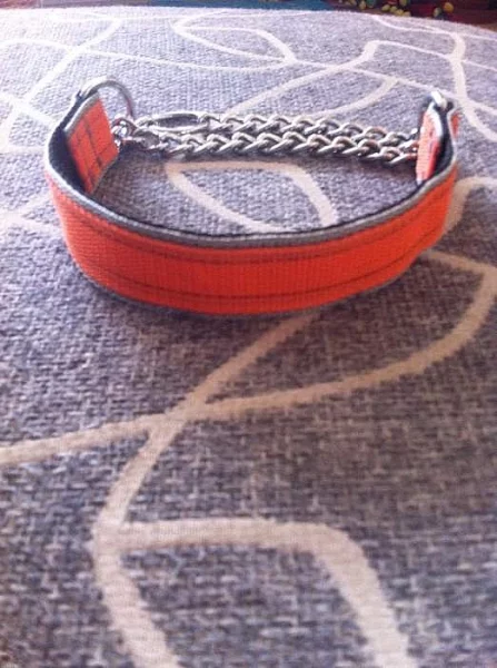 Prodám více obojků