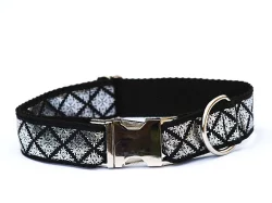 obojky a vše kolem nich