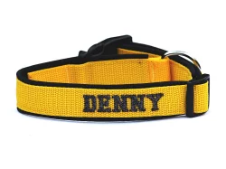 obojky a vše kolem nich