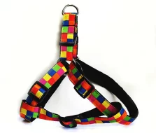 obojky a vše kolem nich