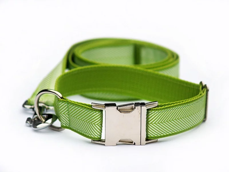 obojky a vše kolem nich