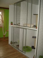 Hotel pro kočky Mazlík