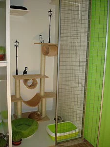 Hotel pro kočky Mazlík