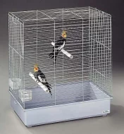 VÝPRODEJ KLECÍ PRO PTÁKY!!