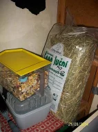 Prodám činčilky