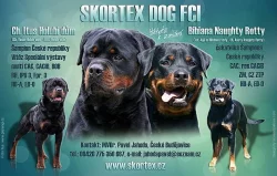 Rottweiler, rotvajler, RTW