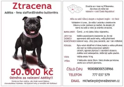 HLEDÁ SE FENKA SBT, ODMĚNA 50.000,-
