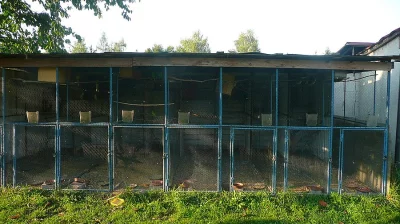 voliera