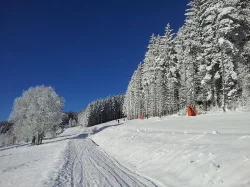 Dovolená s pejskem v krásné přírodě