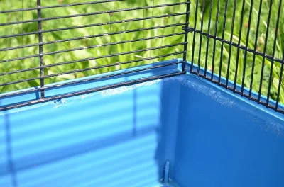 Velká klec původně pro párek činčil