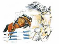 Horse and Home - jezdecký sortiment pro koně a psi