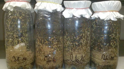 krmný chmyz - OCTOMILKY akce 4+1 zdarma!!!