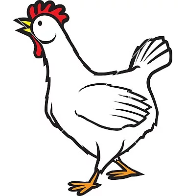 Kuřata přímo ze statku