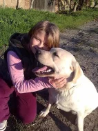 Labrador retriever, černí pejsci s PP