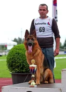 Německý ovčák - štěňata s PP (z.k.)