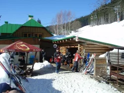 Dovolená s pejskem v krásné přírodě