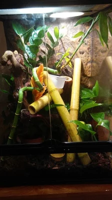 terárium s příslušenstvím